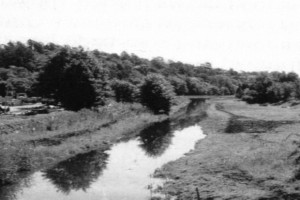 Bilde av Kastet - Haslebakken